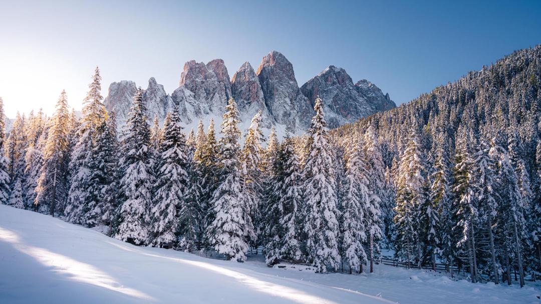 高山 雪景 树林图片欣赏桌面壁纸