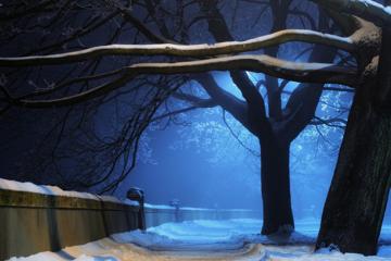 月光下美丽的雪景高清壁纸图片
