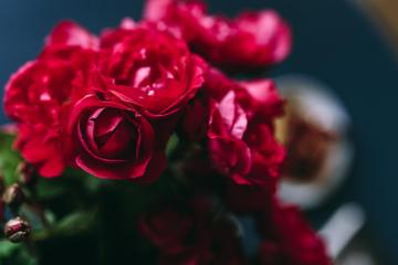 红玫瑰图片高清图片 花束壁纸图片