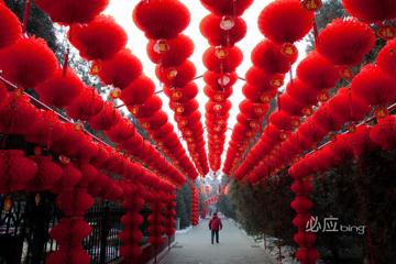 红红的灯笼中国新年bing壁纸