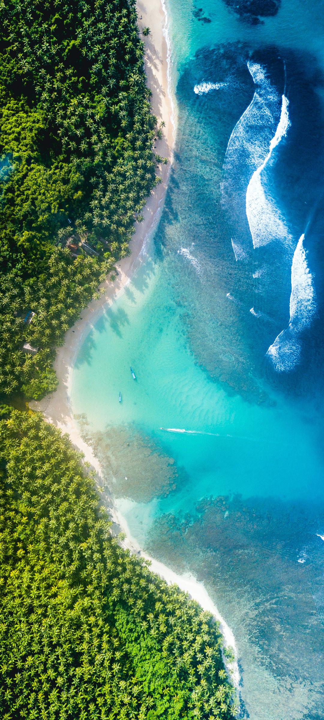 大海风景树海边海水全屏手机桌面壁纸