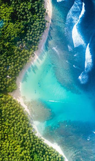 大海风景树海边海水全屏手机桌面壁纸