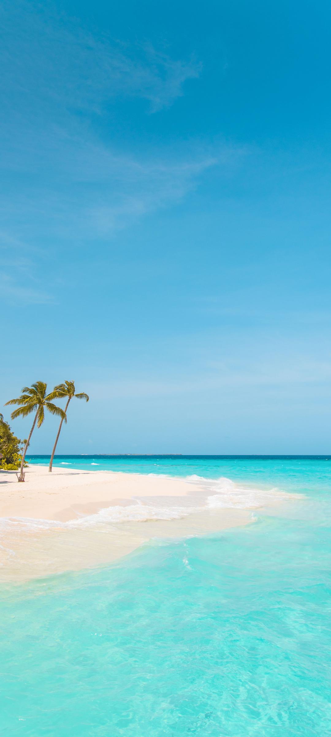 夏天海边树海滩大海风景手机壁纸