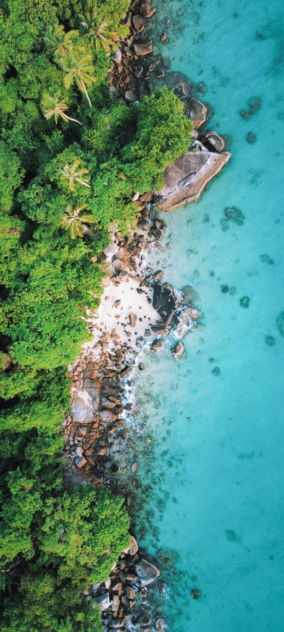 鸟瞰大海海边树林壁纸高清图片