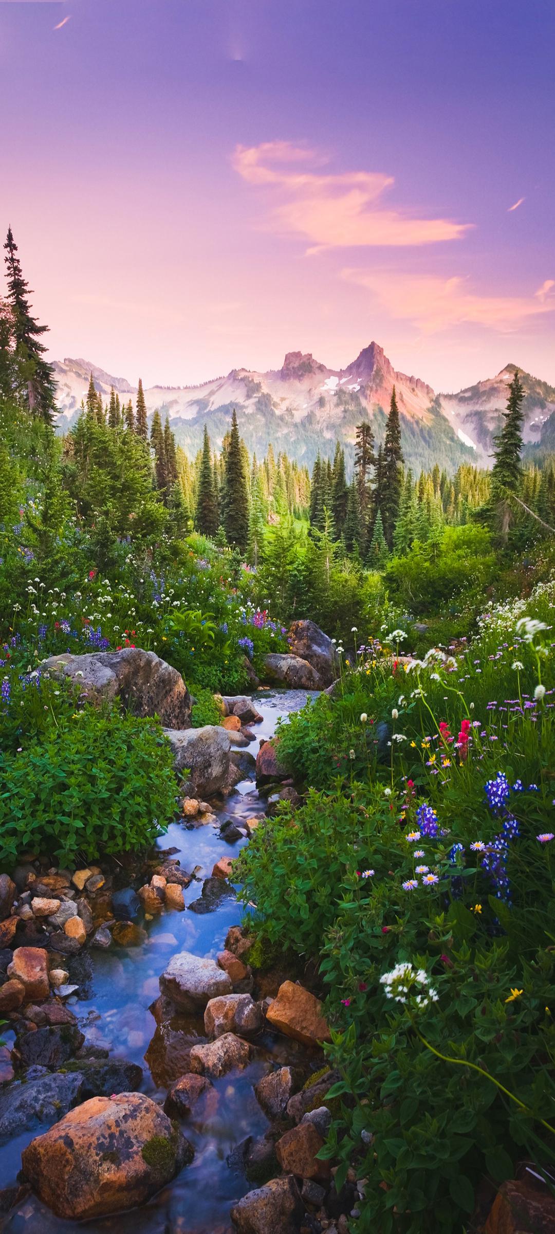 美丽风景小溪流水高山树林鲜花高清风景手机桌面壁纸图片