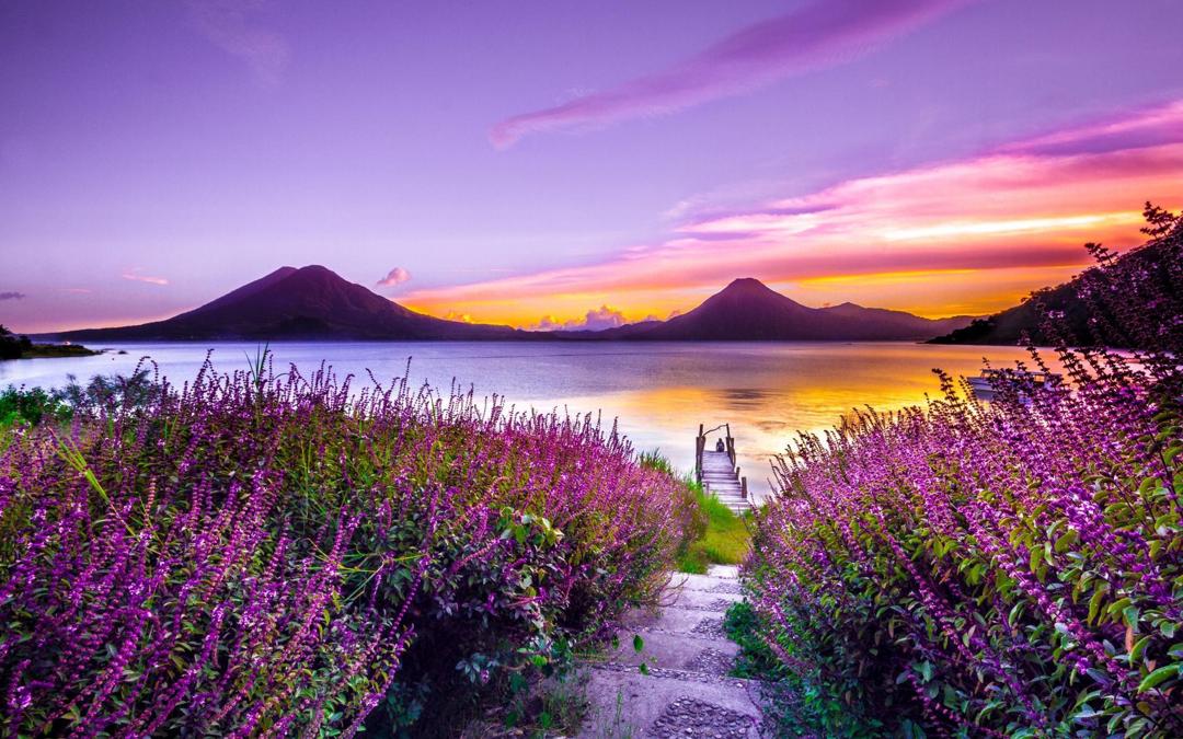 紫色大自然风景图片高清壁纸