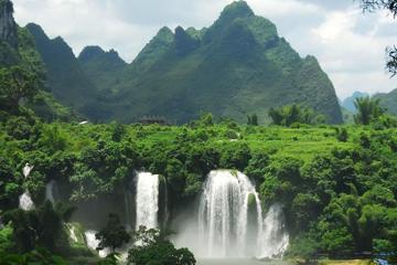 亚马逊热带雨林风景图片