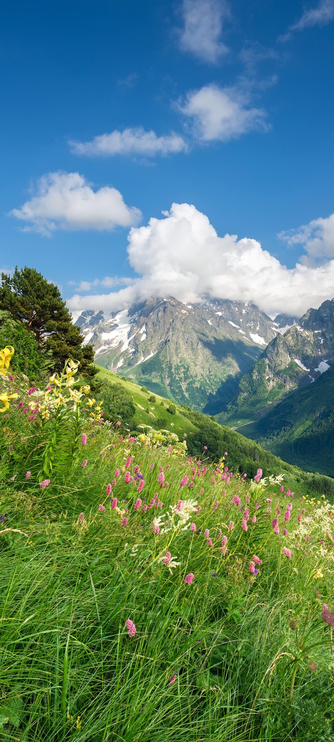 大山山顶风景壁纸竖屏