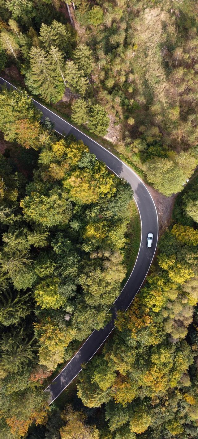 俯视航拍风景森林公路手机壁纸