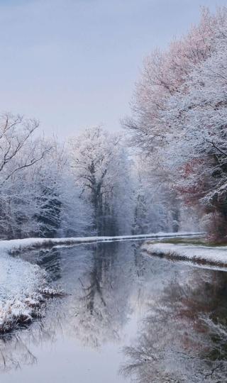 冬天风景河流树手机壁纸