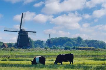 荷兰风车壁纸高清风景图片