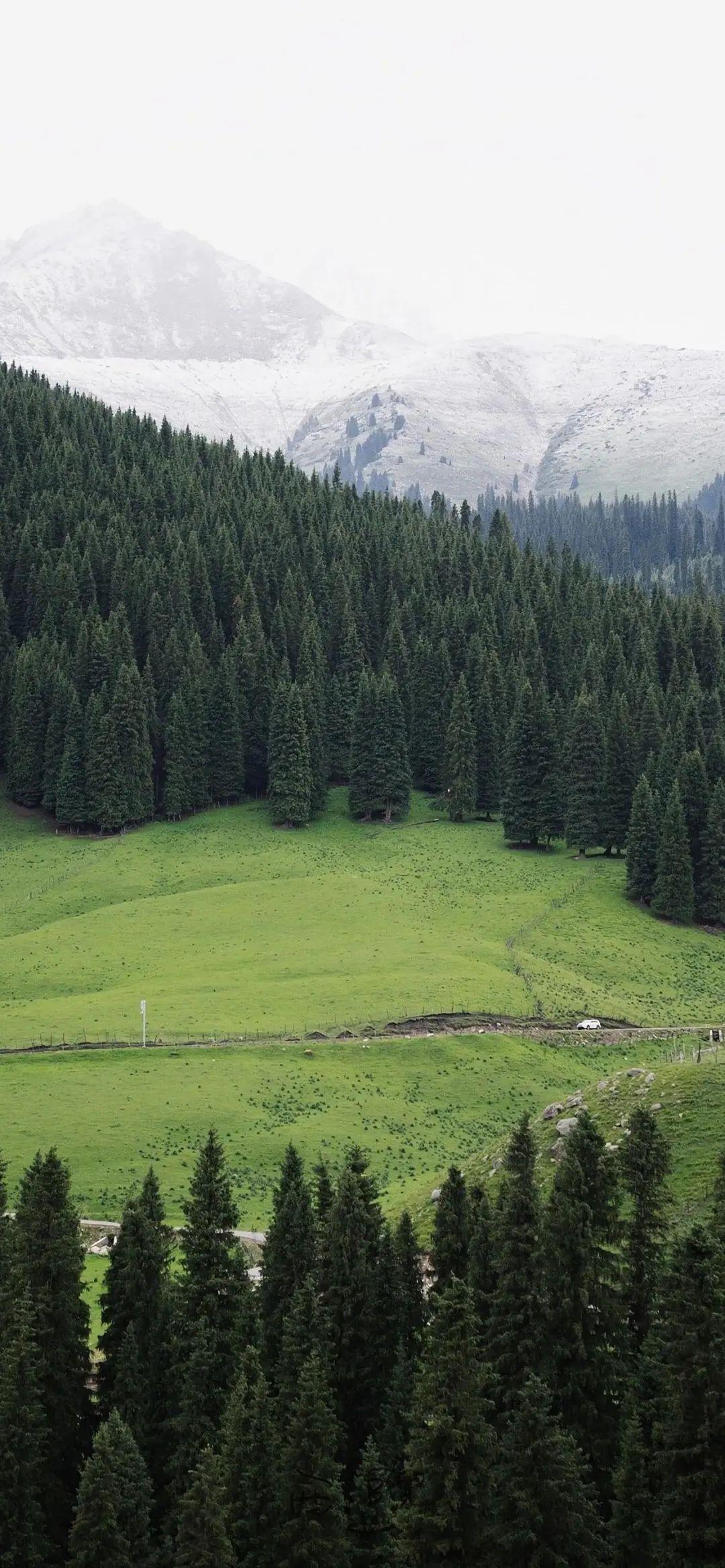 山地树森风景手机壁纸高清