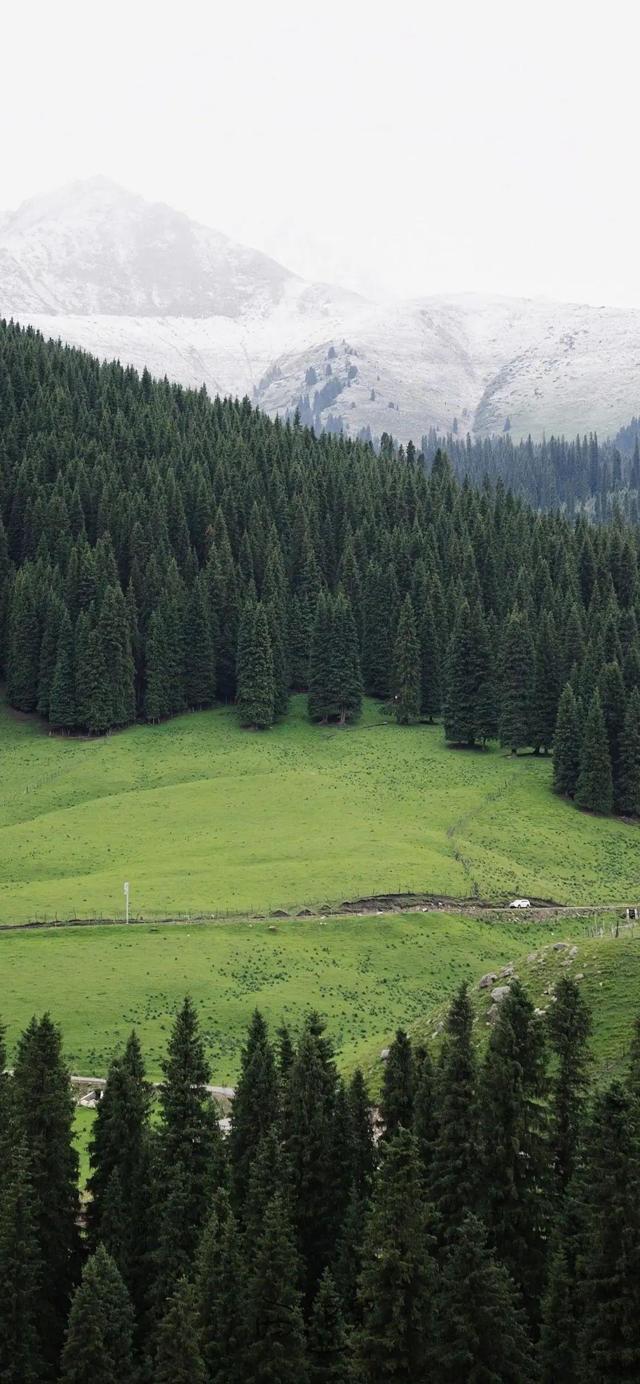 山地树森风景手机壁纸高清