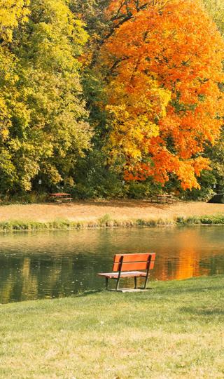 秋天风景图片手机壁纸高清的2023最新版