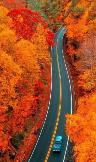 好看的秋天道路风景手机壁纸图片
