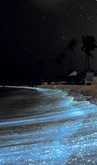 海滩星光手机壁纸图片