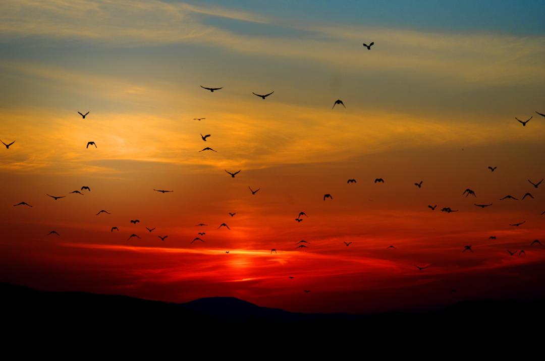 夕阳美景图片电脑壁纸高清下载