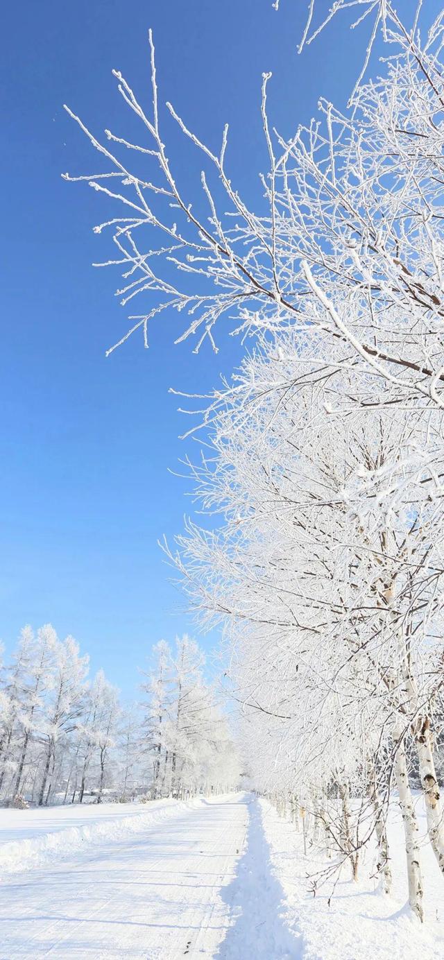 2023风景雪景壁纸 手机壁纸