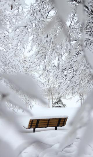 最新冬季雪景高清手机壁纸图片2023