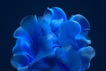 3d蓝色花瓣Windows11壁纸原图