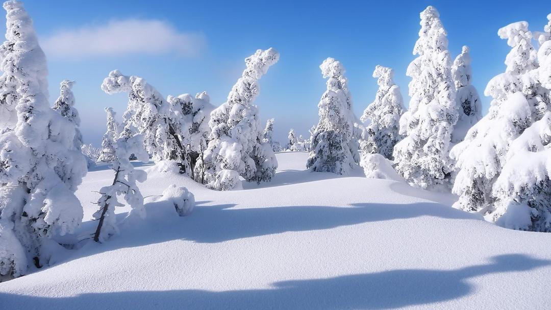 白雪覆盖的冬天壁纸