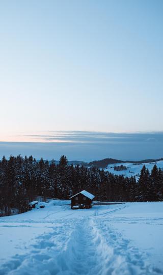 冬季风景大雪树林图片高清手机壁纸
