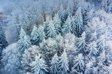 俯瞰冬天森林雪景图片高清电脑壁纸