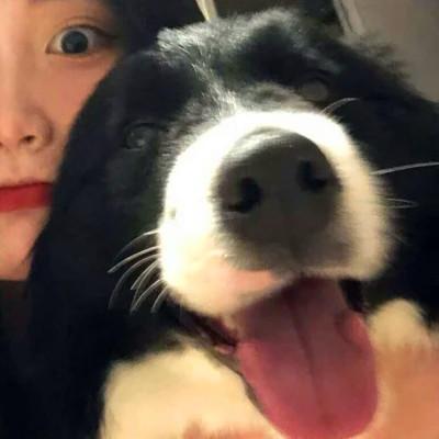 超软超甜超可爱的情头图片