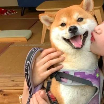 超软超甜超可爱的情头图片