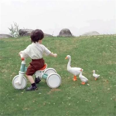 超软超甜超可爱的情头图片